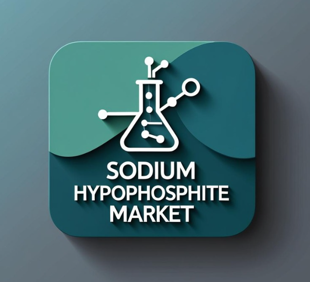 Sodium Hypophosphite Market Outlook 2026–2033: Growth Drivers and Forecast